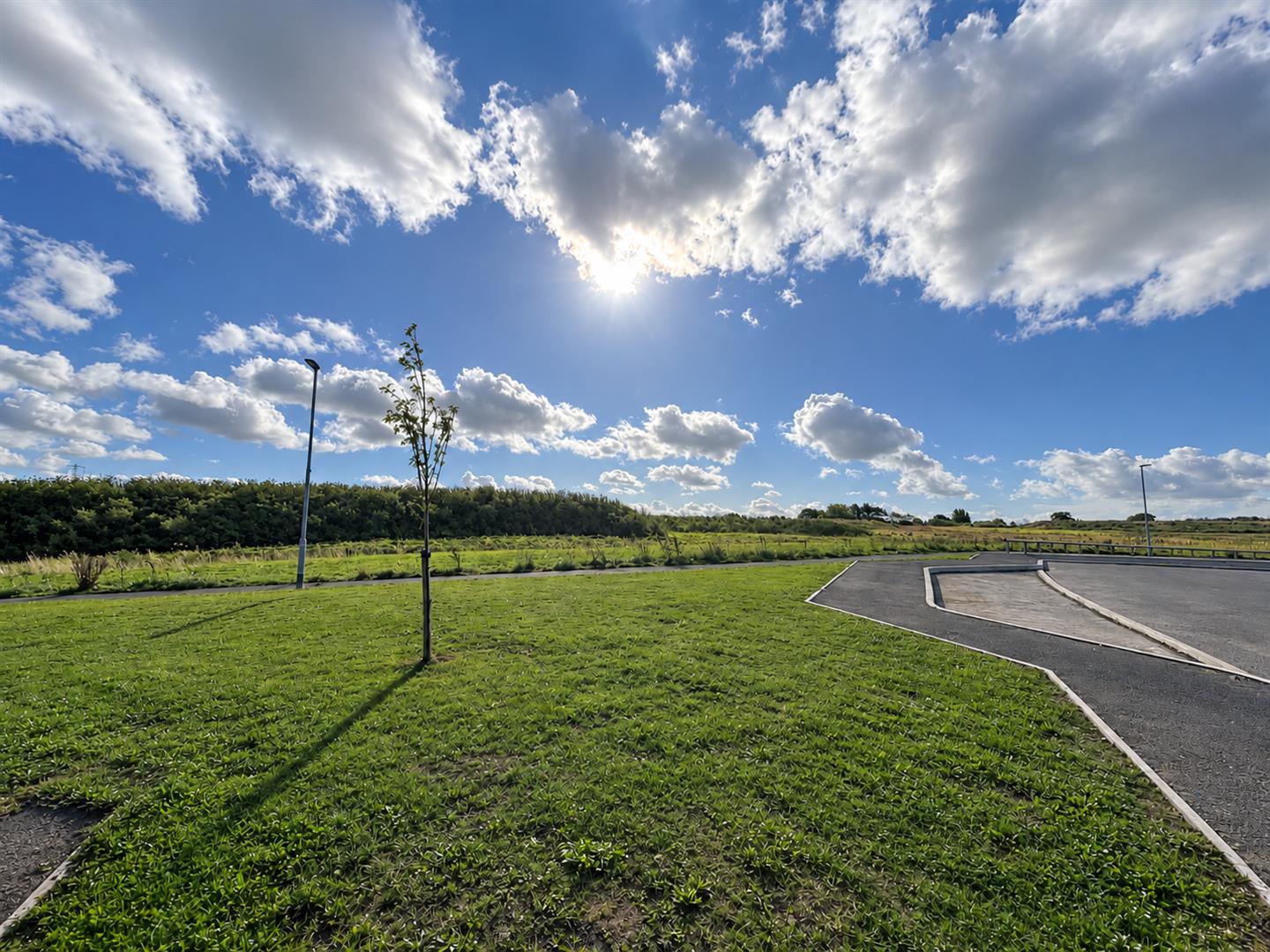 Sunlit Countryside Roadside Landscape.png
